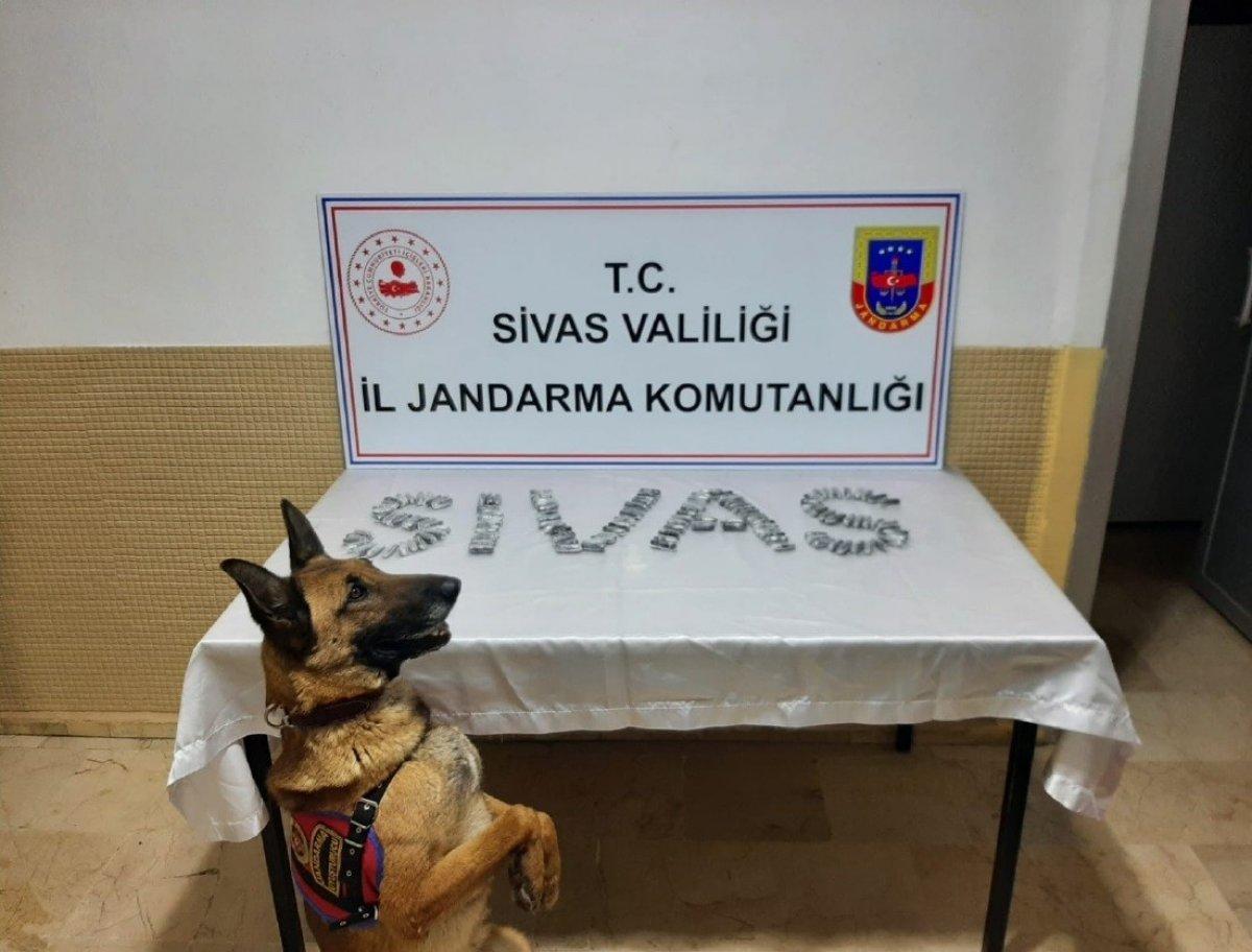 Sivas’ta İranlı şahsın midesinden, 15 paket esrar çıktı