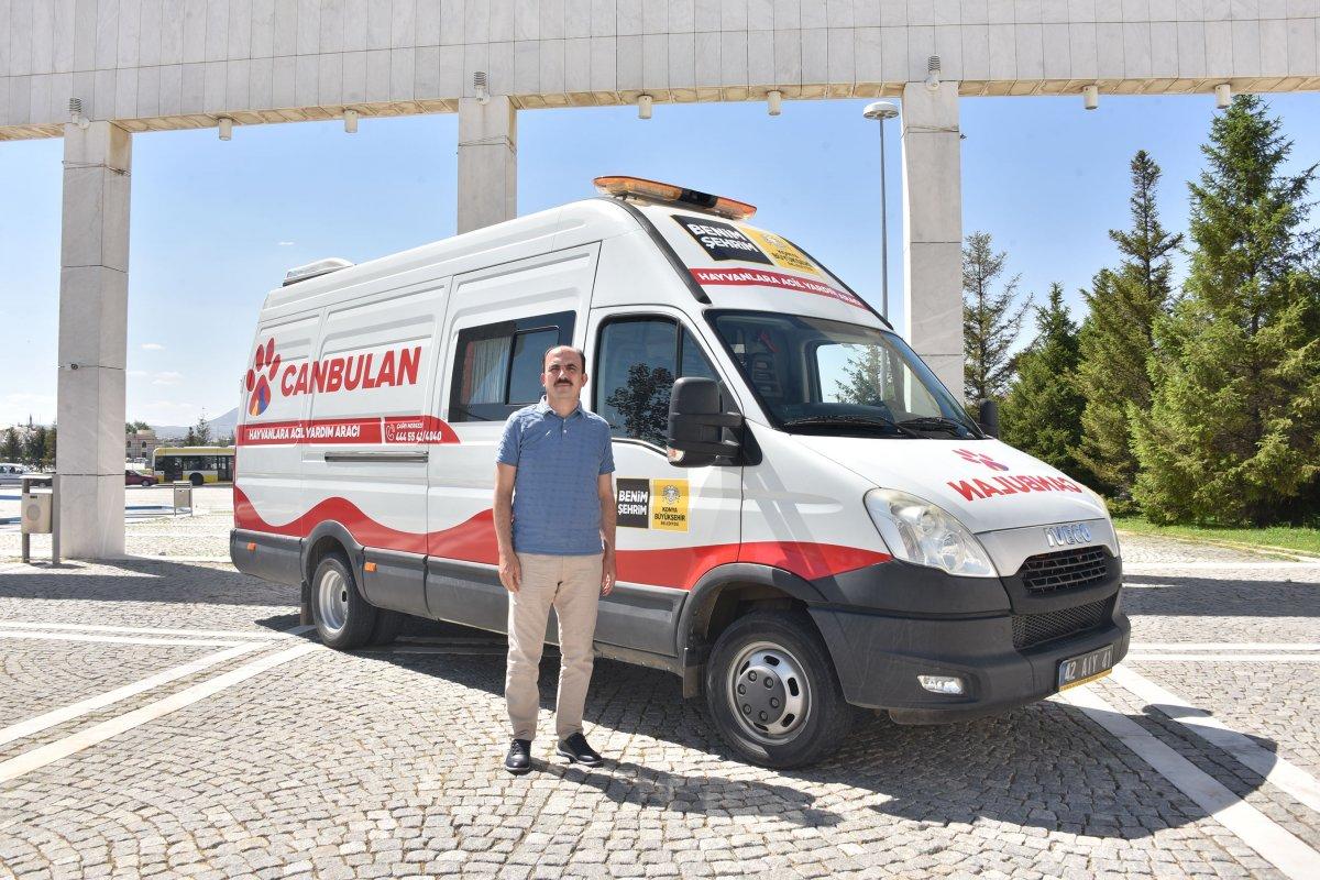 Sokak köpekleriyle mücadelede Konya'dan örnek belediyecilik