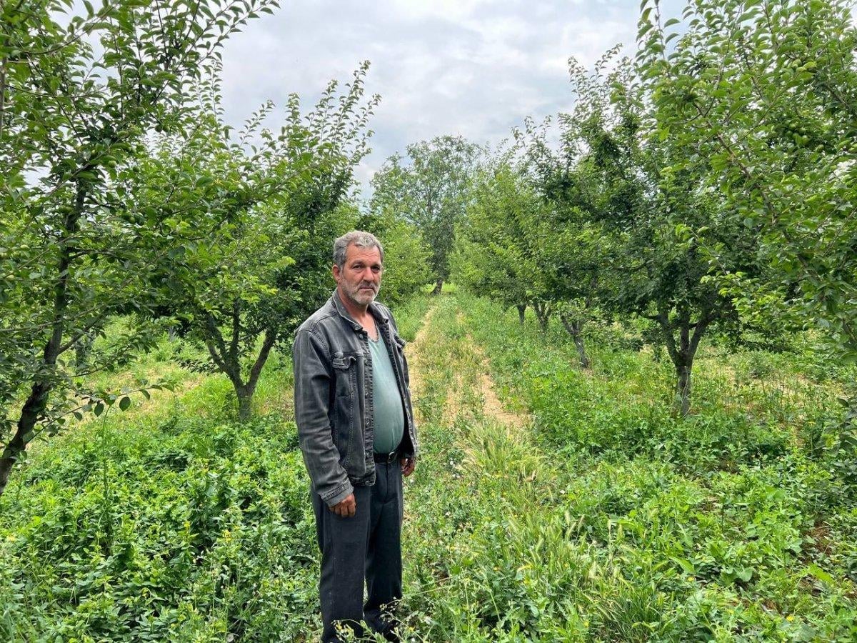 Bursa'da bahçesi soyulan çiftçi: Kaliteli bir hırsızlık, çay içmek isterim