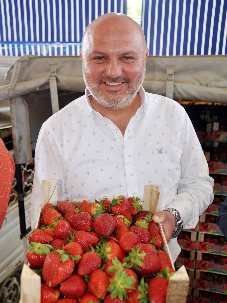 Aydın'daki çilekler bu yıl üreticilerine tat vermedi