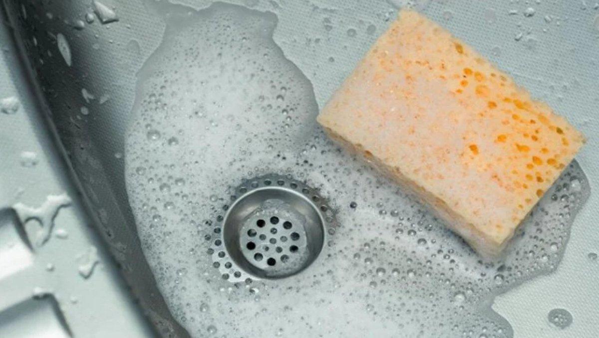 Bulaşık süngeri tehlikesi: Tüm insanlardan daha fazla bakteri içeriyor