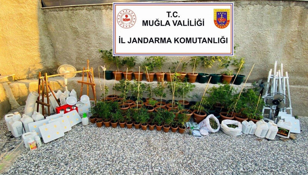 Muğla'da yaşayan ABD'linin evinden kilolarca esrar çıktı