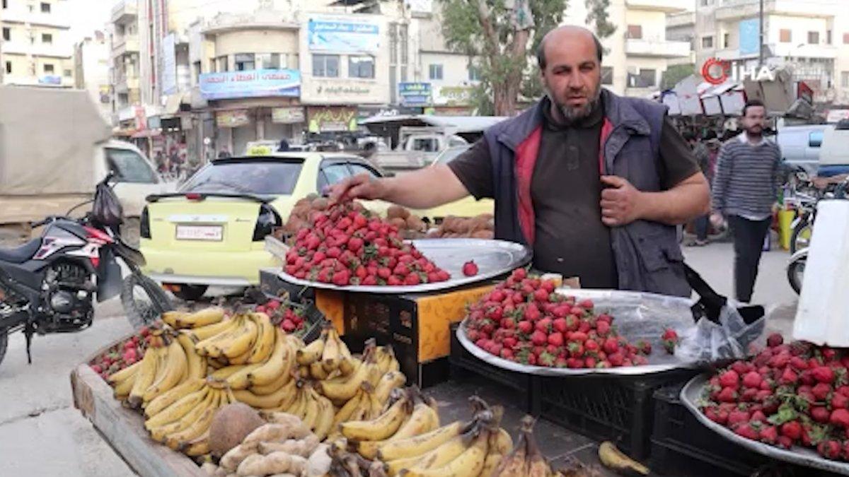 Suriye'nin İdlib şehrinde günlük hayattan görüntüler