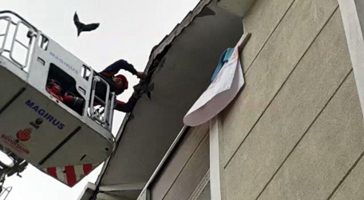 Esenyurt'taki kargayı kurtarmak isteyen itfaiye erinin zor anları