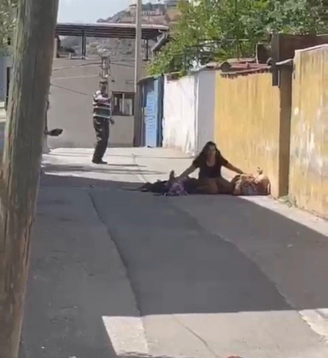 İzmir'deki köpek tartışması kanlı bitti: 3 ölü