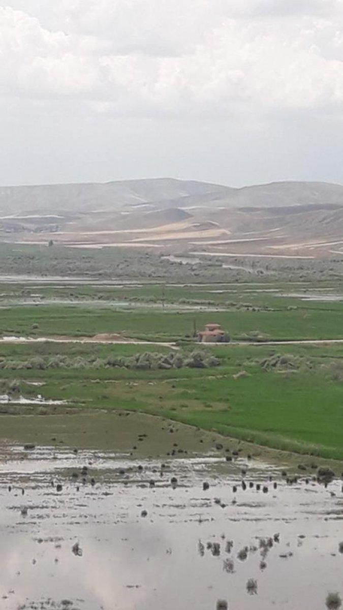 Çorum'da sağanak yağış tarım arazilerini vurdu