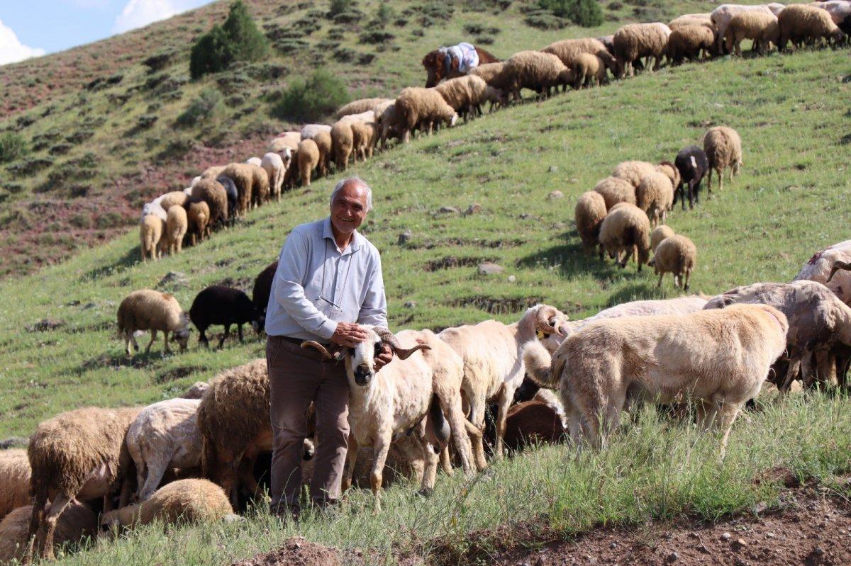 Erzurumlu girişimci, atıl topraklara 16 bin ceviz fidanı dikti