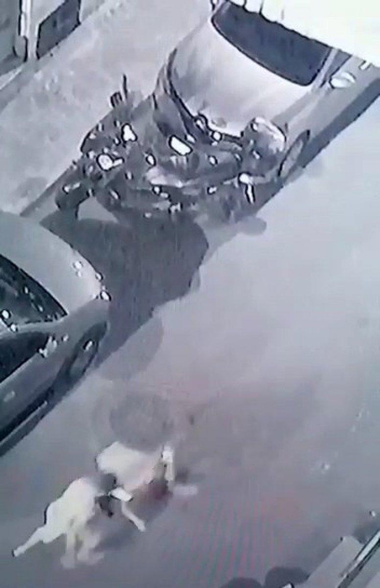 Bayrampaşa'da komşusunu hırsız sanıp dövdü