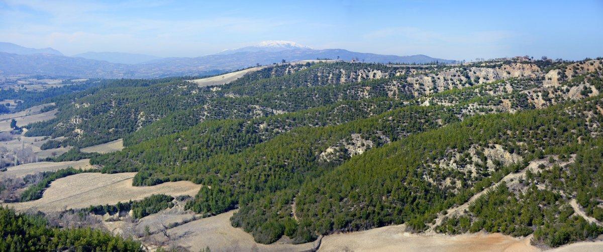 Orman Genel Müdürlüğü paylaştı: Yansa da yine  aynı kalır