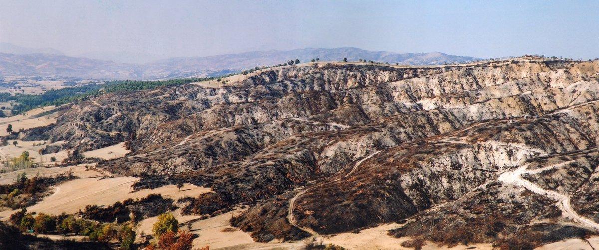 Orman Genel Müdürlüğü paylaştı: Yansa da yine  aynı kalır