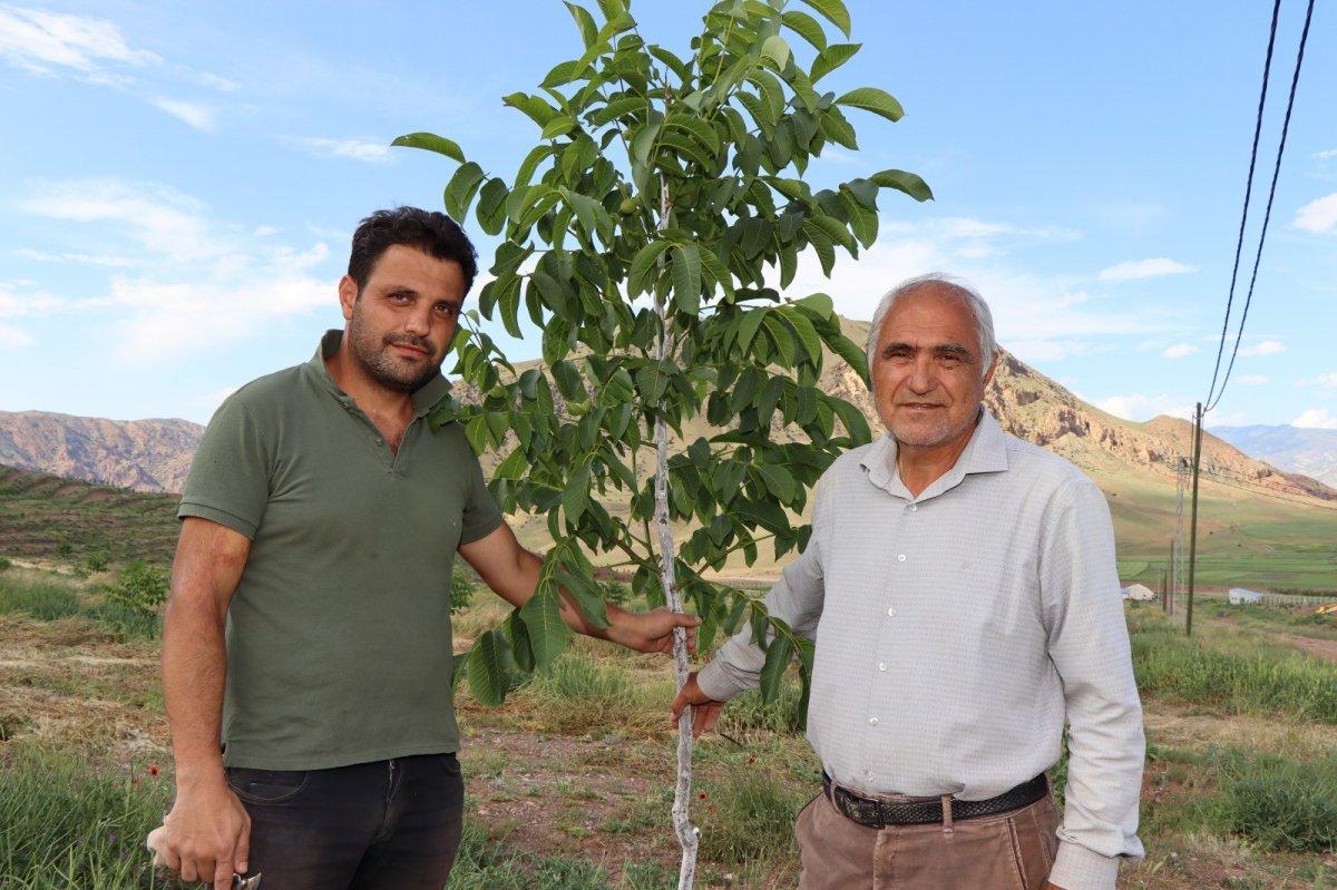 Erzurumlu girişimci, atıl topraklara 16 bin ceviz fidanı dikti