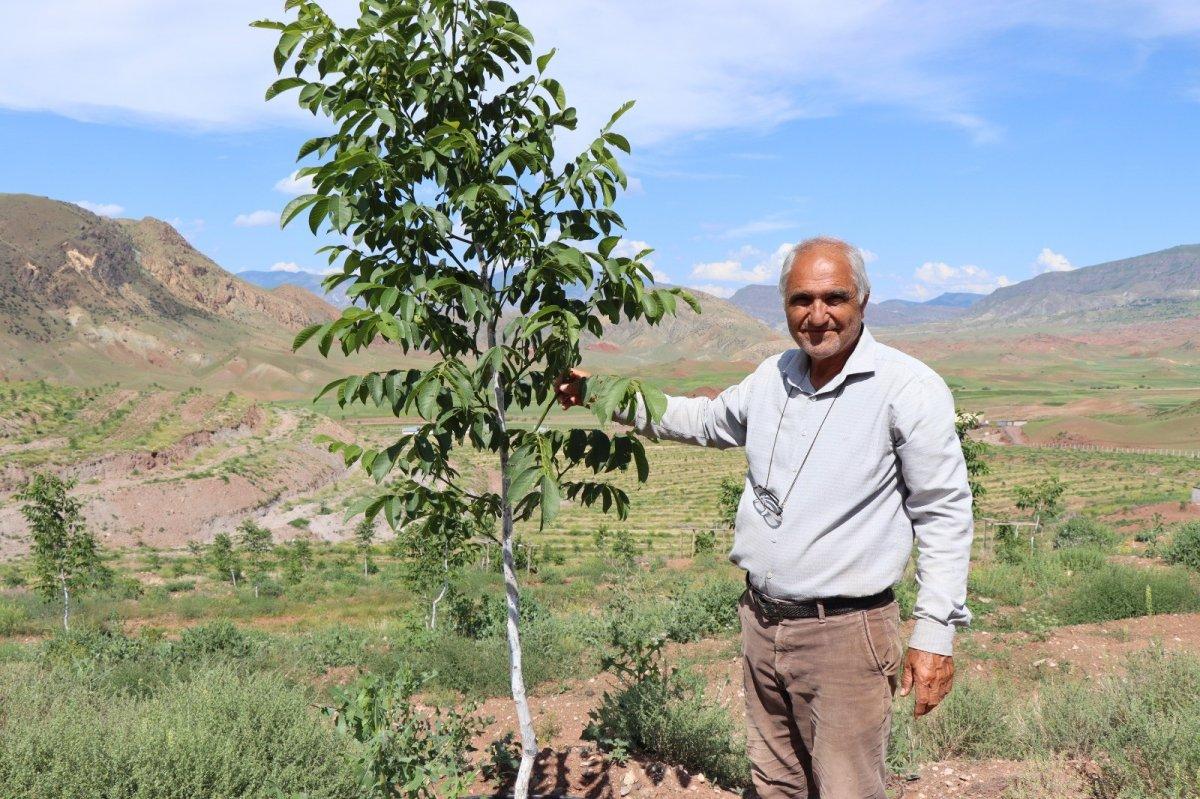 Erzurumlu girişimci, atıl topraklara 16 bin ceviz fidanı dikti