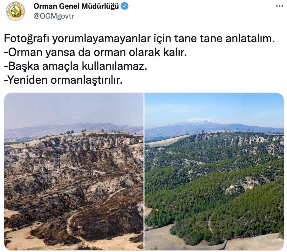 Orman Genel Müdürlüğü paylaştı: Yansa da yine  aynı kalır