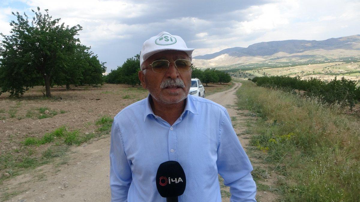 Malatya'da kayısı ağaçlarını kökünden sökülmüş buldu