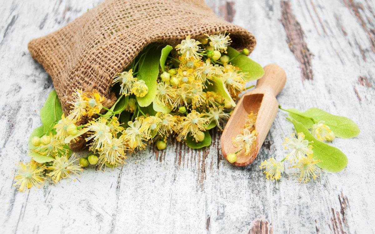 Sakinleştirici etkili ıhlamurun 3 mucizevi faydası