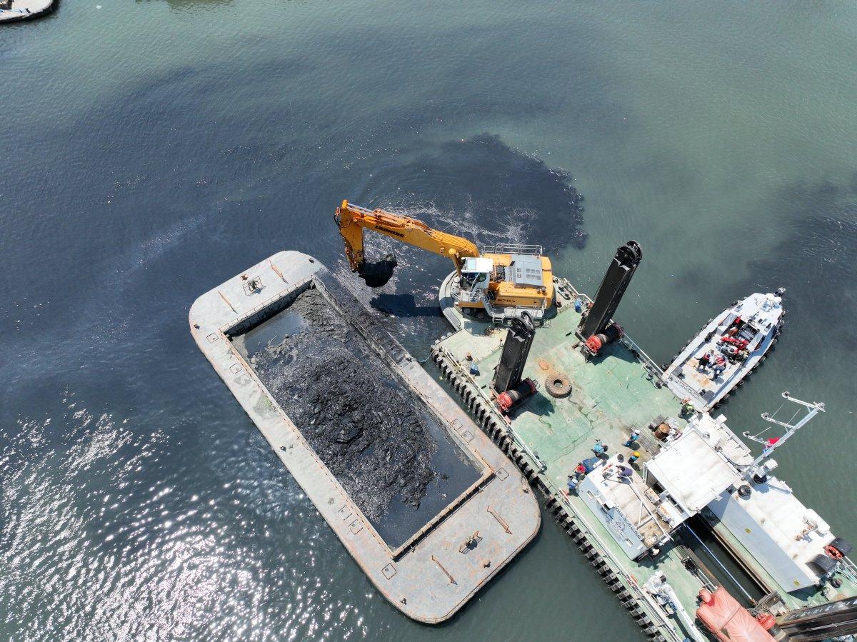 İBB'den Haliç açıklaması: Çok kötü durumda değil