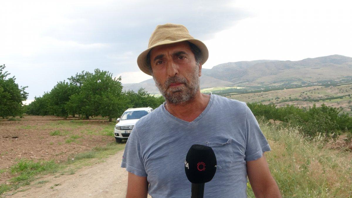 Malatya'da kayısı ağaçlarını kökünden sökülmüş buldu