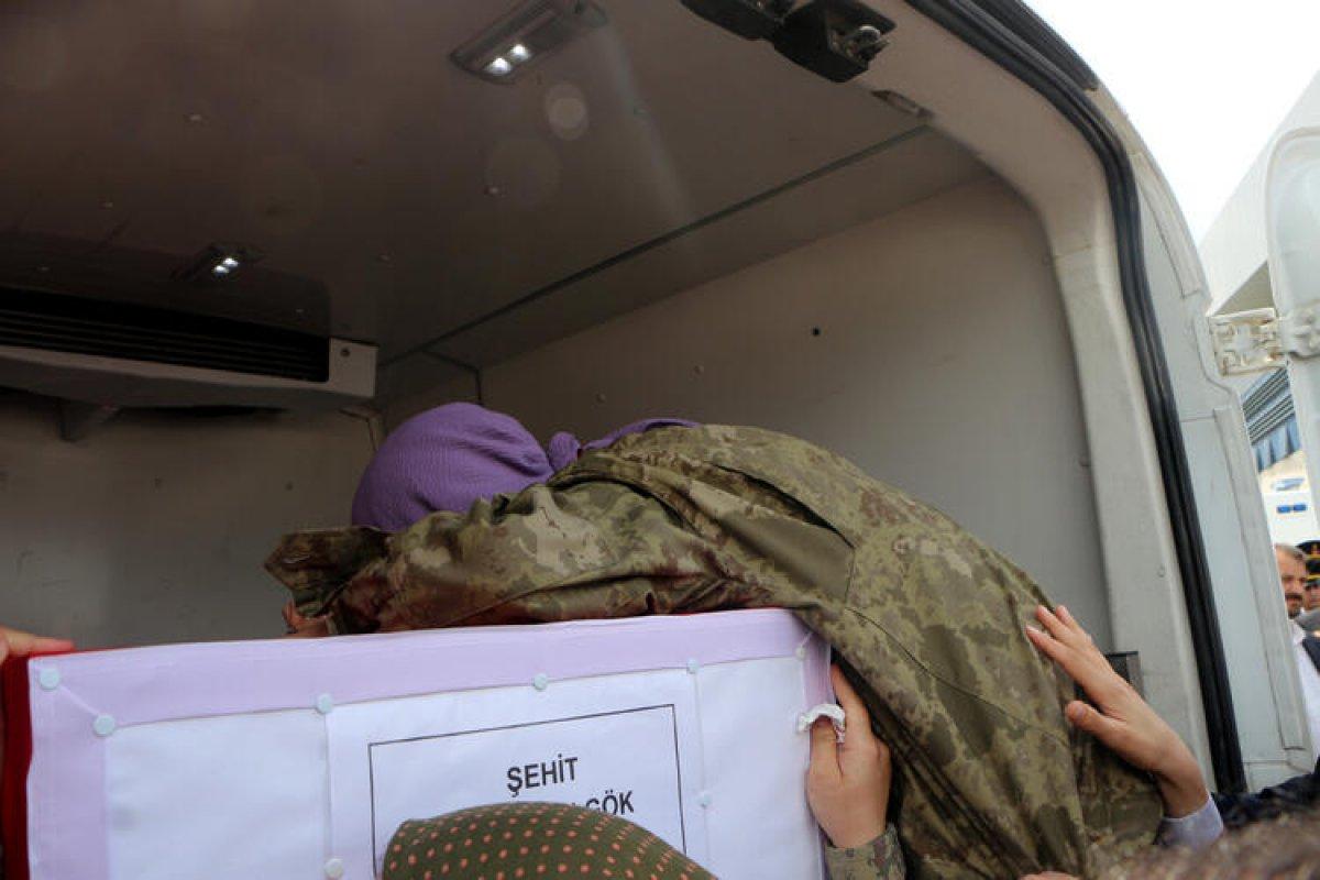 Şehit Ramazan Gök'ün cenazesi memleketine ulaştı