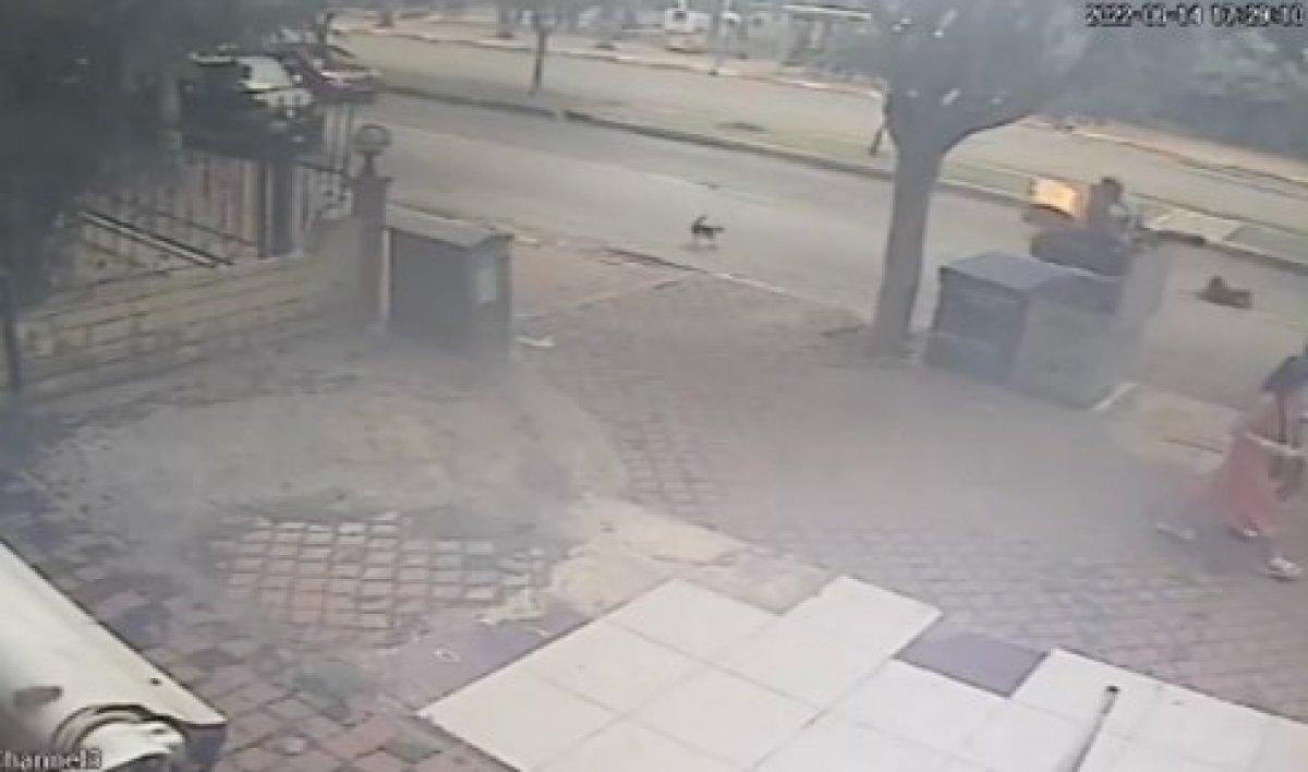 Antalya'da kediden kaçan köpeğe motosiklet çarptı