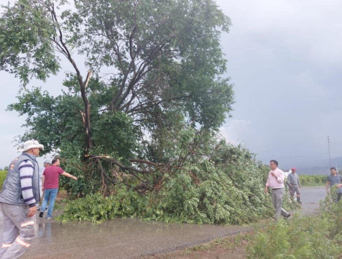 Manisa'da şiddetli fırtına ve dolu etkili oldu