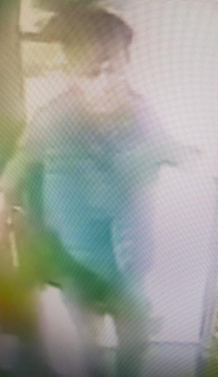 Aksaray'da yardım etme bahanesiyle görme engelli kızın telefonunu çaldı