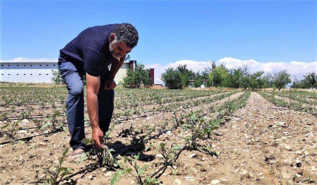 Malatya'daki dolu tarım alanları vurdu