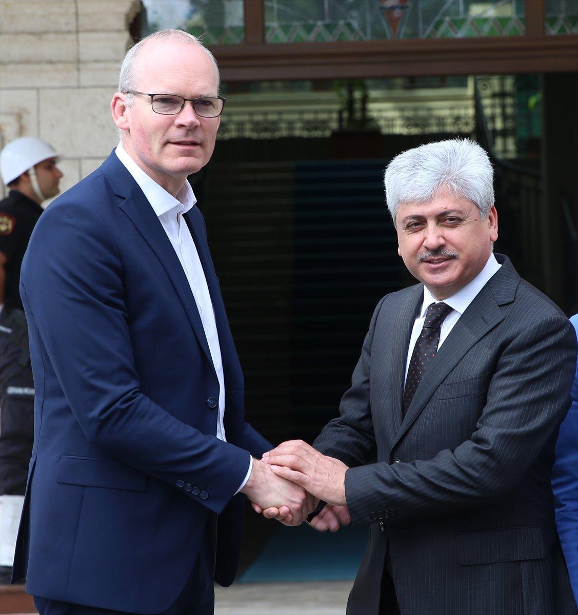 Norveç ve İrlandalı bakanlar Hatay'da