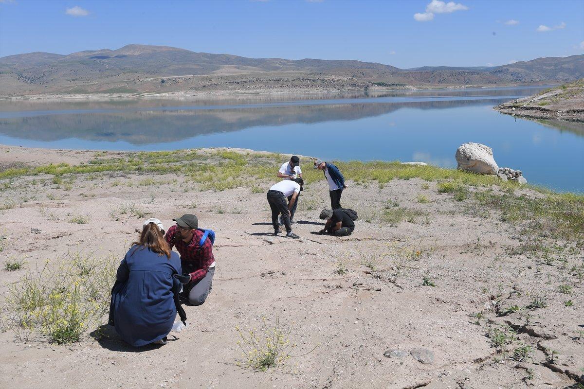 Dünyanın gözü Kayseri'deki 7,5 milyonluk fosillerde