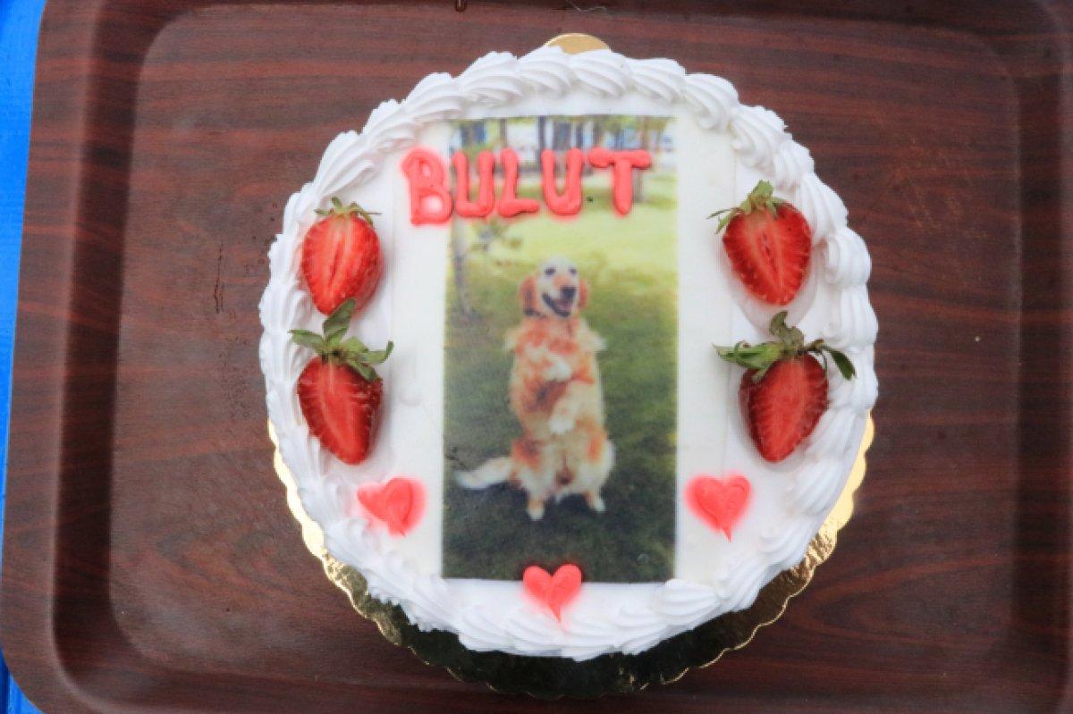 Jandarmanın arama kurtarma köpeği 'Bulut' emekliye ayrıldı