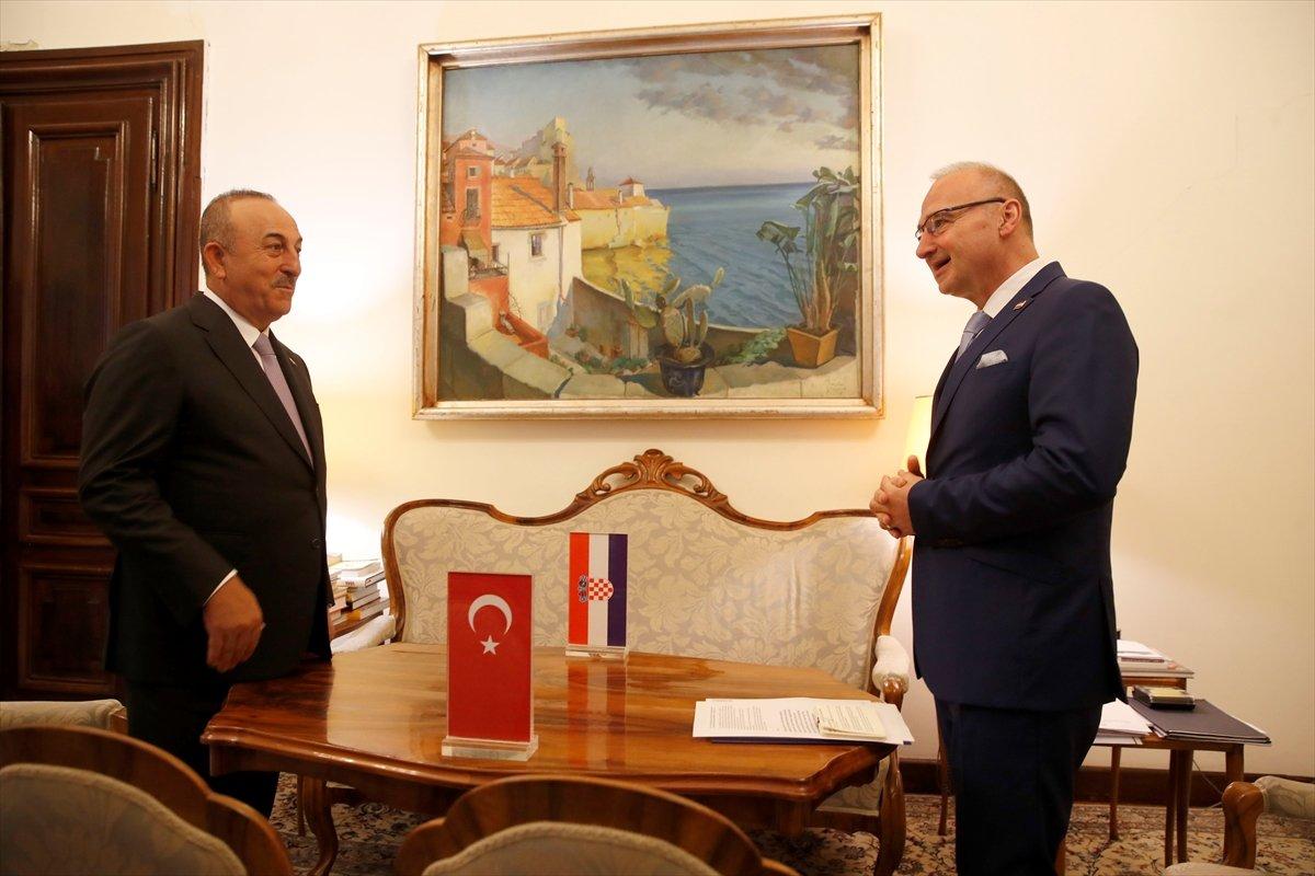 Mevlüt Çavuşoğlu: PKK'lı vekil İsveç hükümetini rehin almış