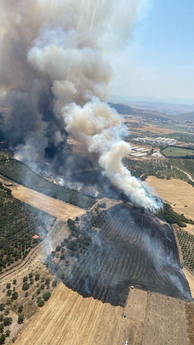 Foça'da çıkan orman yangınına müdahale