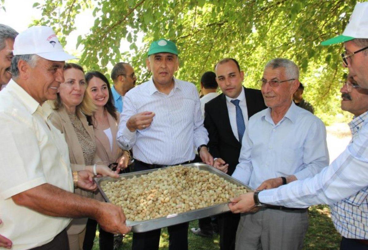 Bir paraşütçü Adıyaman'daki festivale uçarak geldi