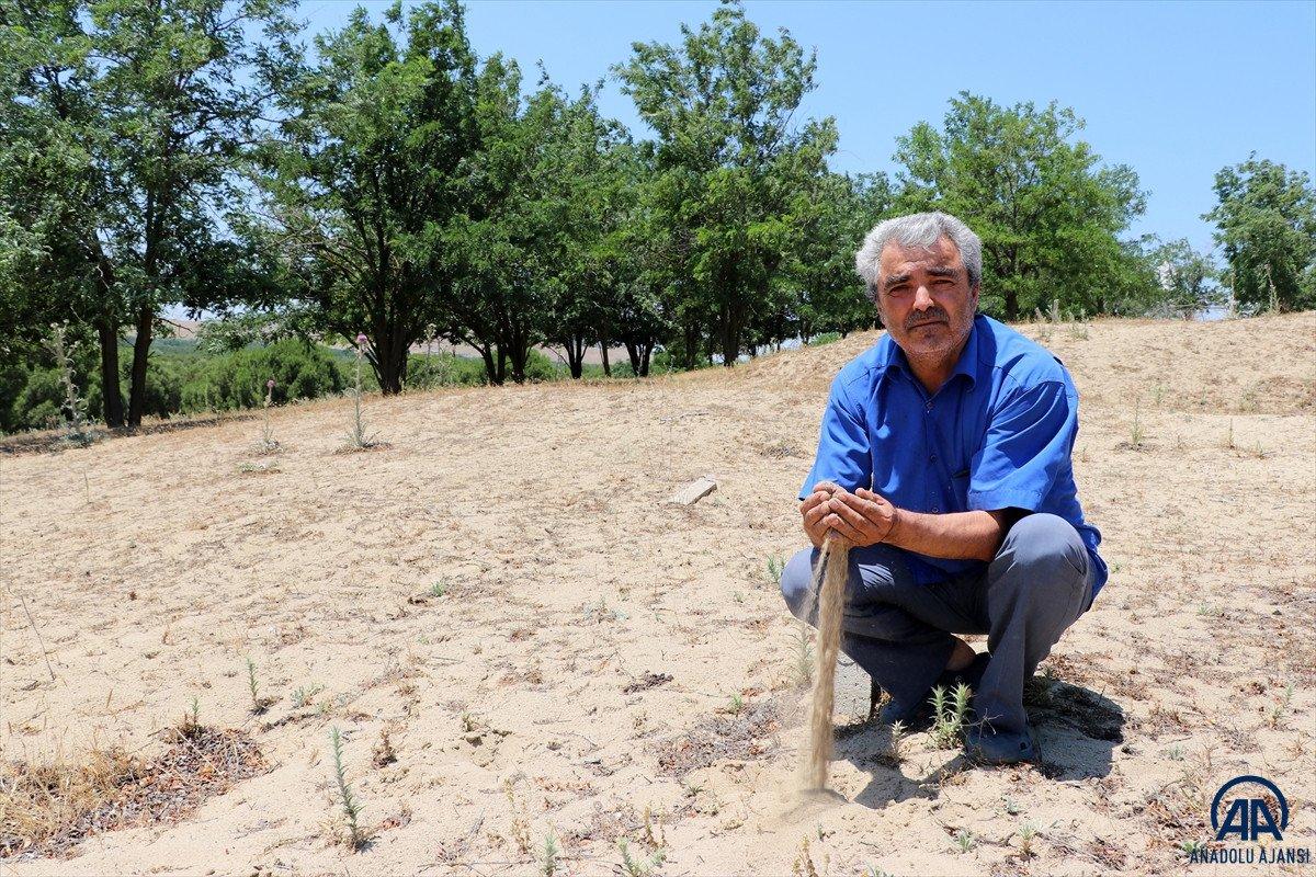 Dizilere sahne olan Sazoba'nın çölü orman oldu
