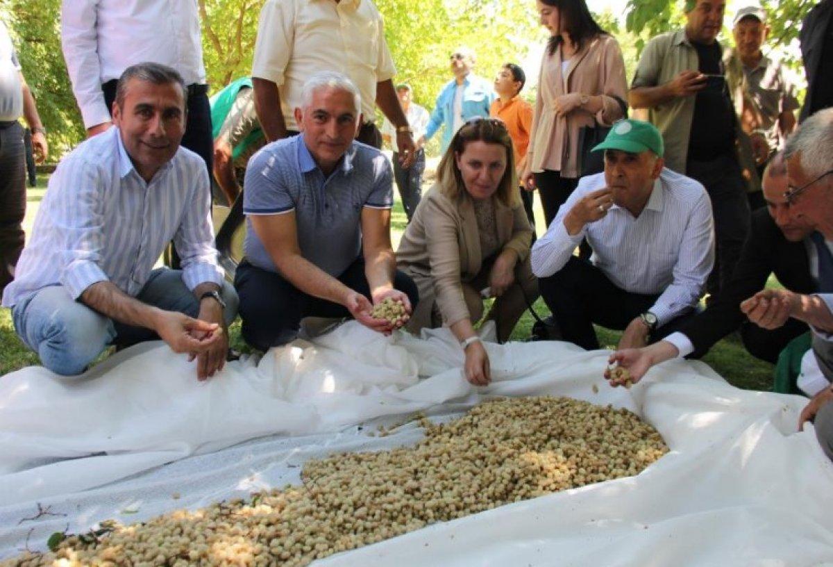 Bir paraşütçü Adıyaman'daki festivale uçarak geldi