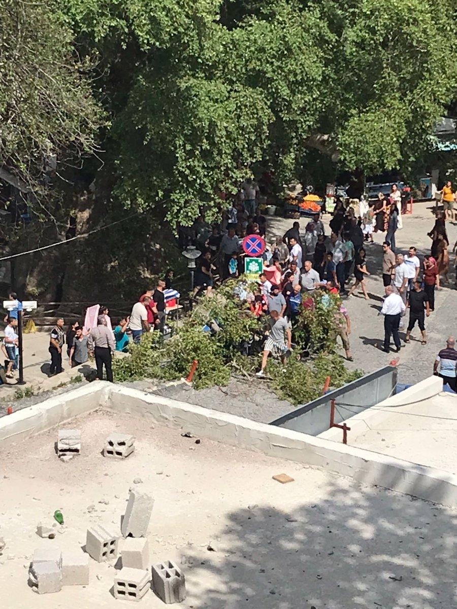 Hatay'da Musa Ağacı'nın kopan dalı 1 kişiyi hastanelik etti