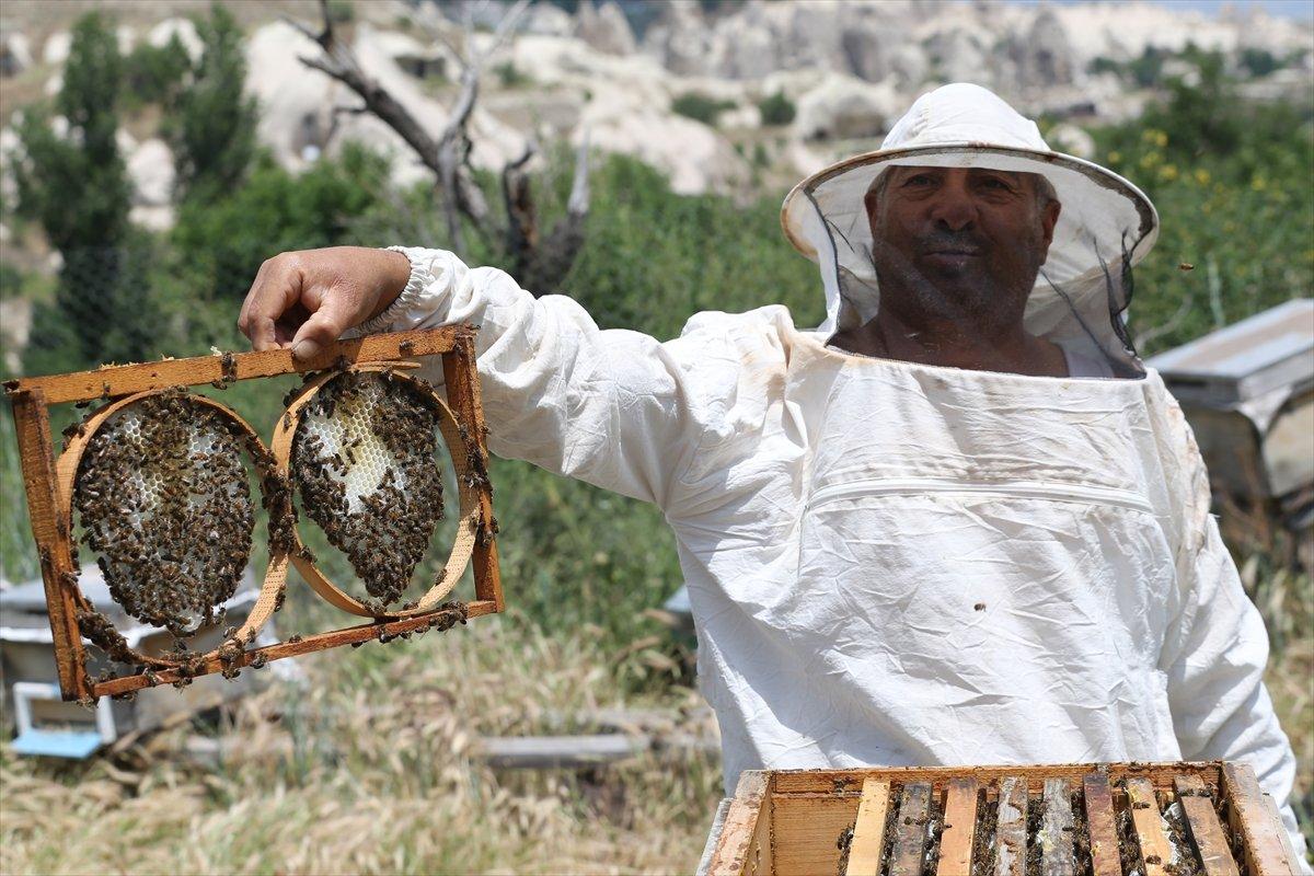 Kapadokyadaki arı üreticisi: Başka iş için para verseler gitmem