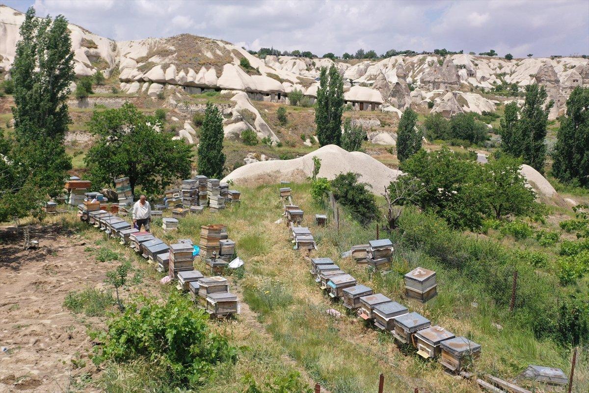 Kapadokyadaki arı üreticisi: Başka iş için para verseler gitmem