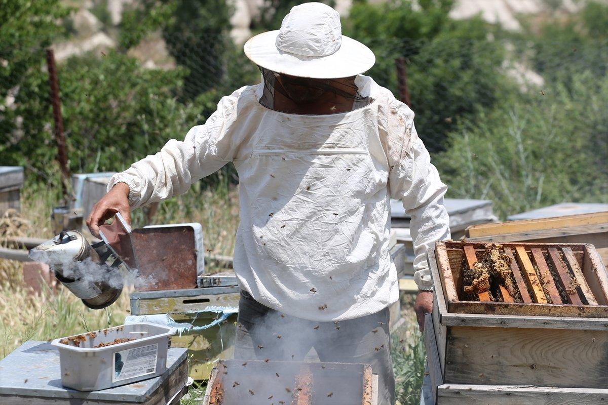 Kapadokyadaki arı üreticisi: Başka iş için para verseler gitmem