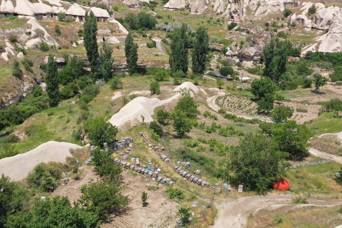 Kapadokyadaki arı üreticisi: Başka iş için para verseler gitmem