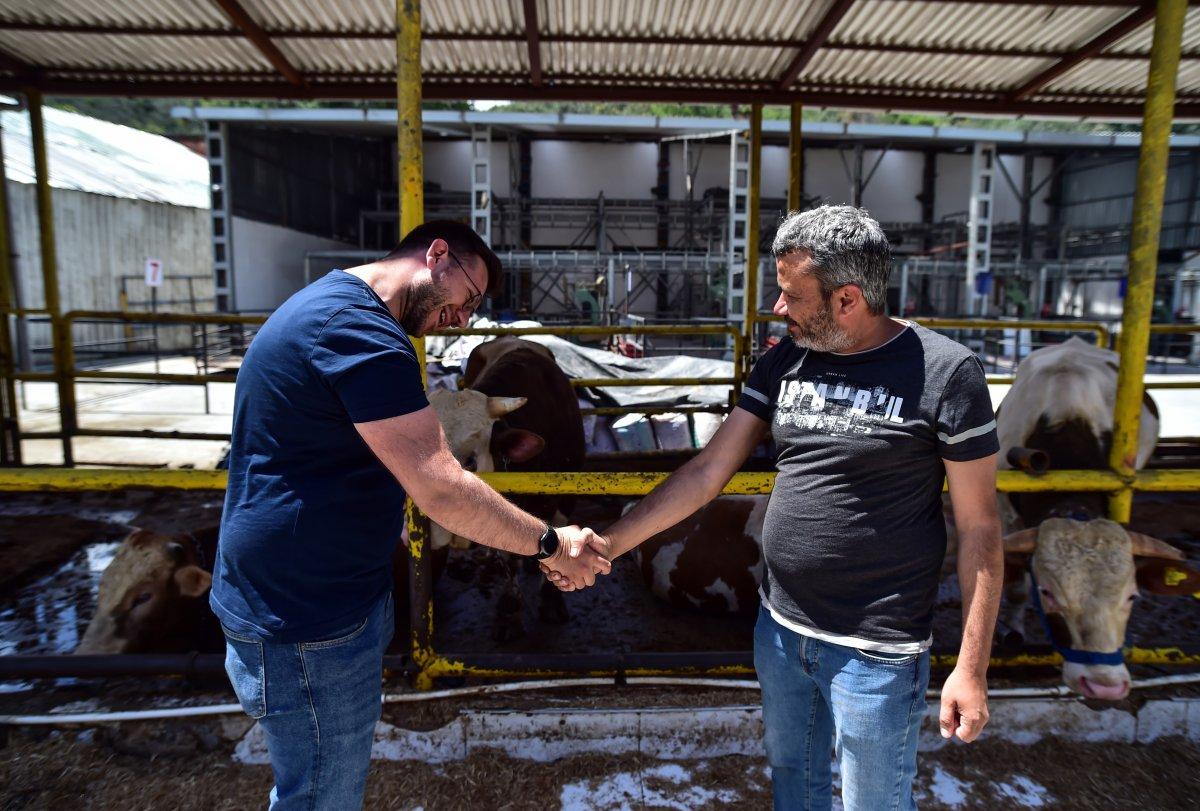 İstanbul'da kurbanlık alanlar kurulmaya başladı