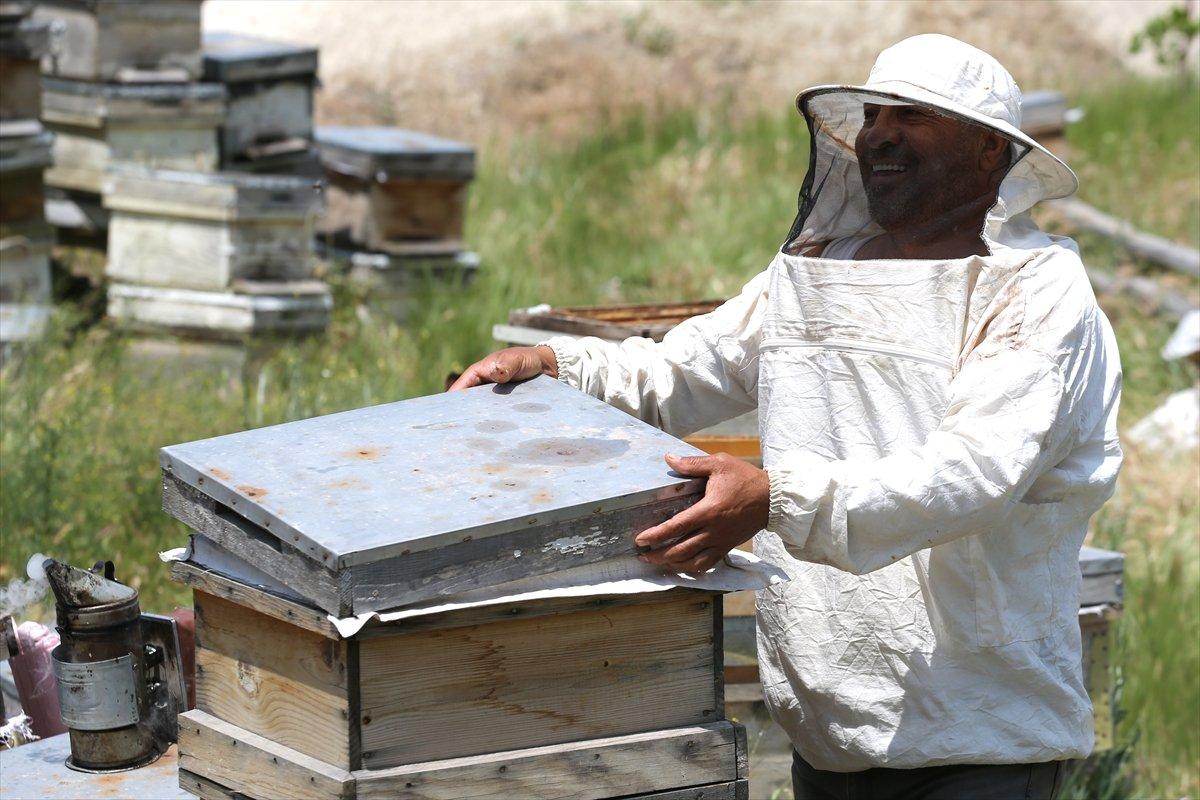 Kapadokyadaki arı üreticisi: Başka iş için para verseler gitmem