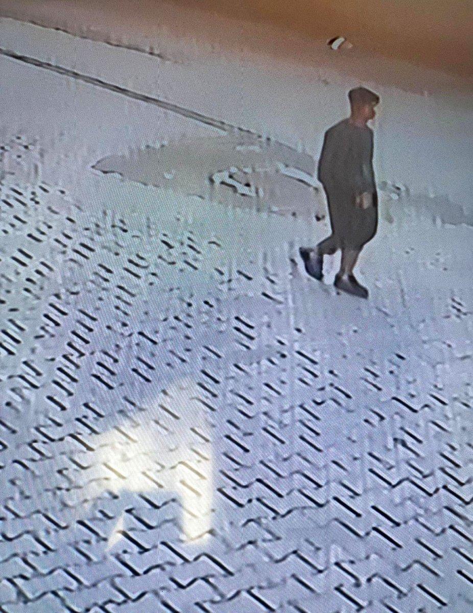 Diyarbakır'da ev sahipleri damda uyurken eve giren hırsız, kameraya yakalandı