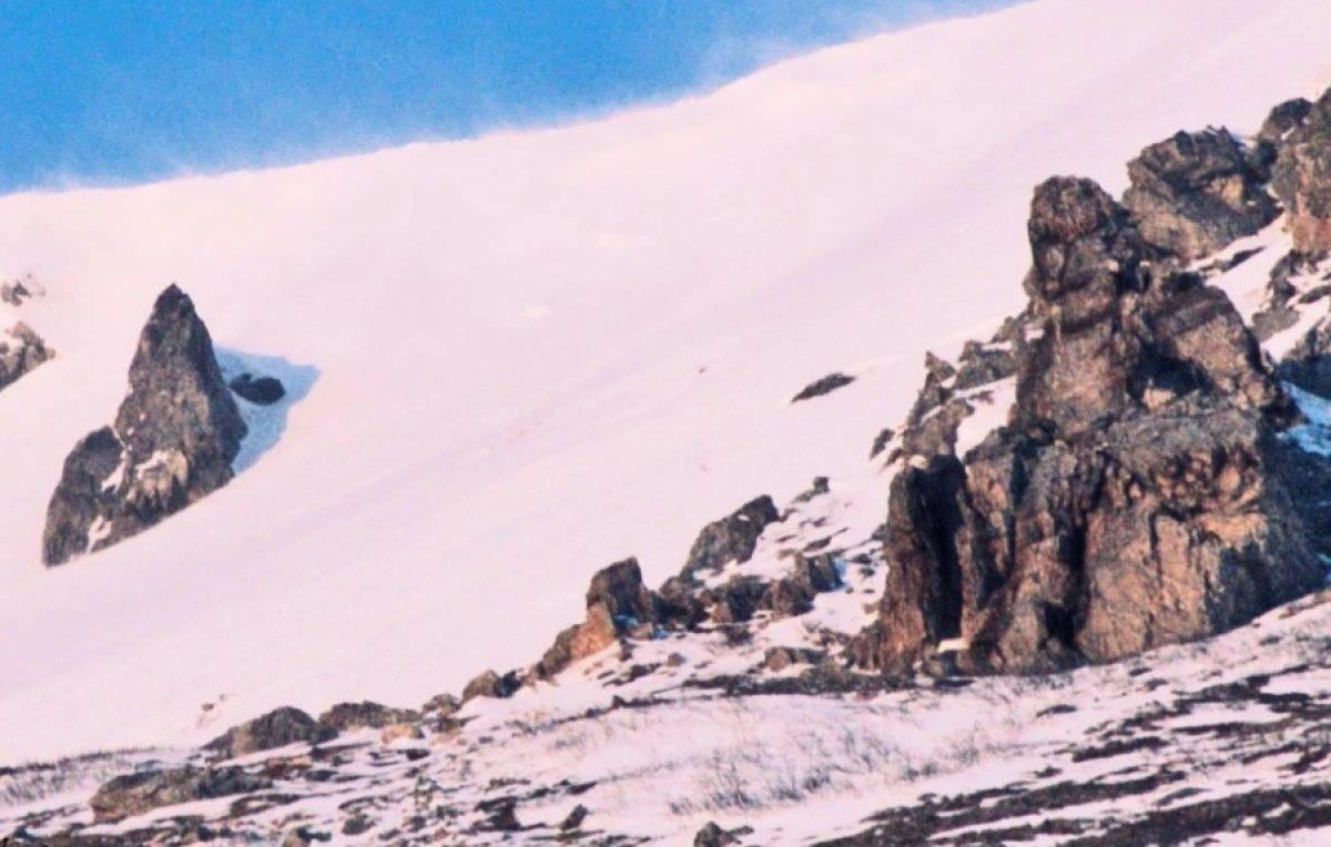 Vakanüvis: Troller, tarihte de can sıkıcıydı