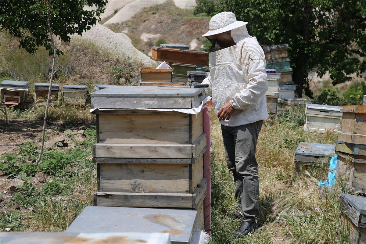 Kapadokyadaki arı üreticisi: Başka iş için para verseler gitmem