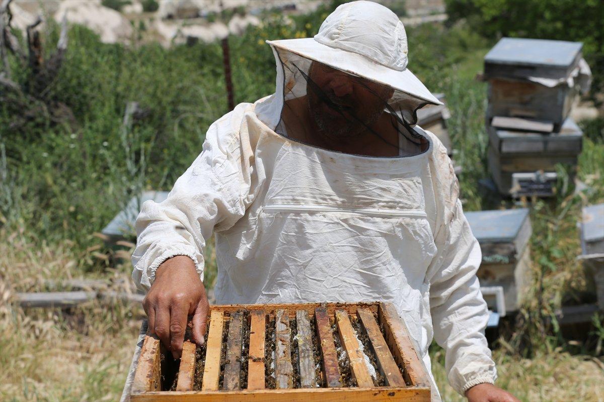 Kapadokyadaki arı üreticisi: Başka iş için para verseler gitmem