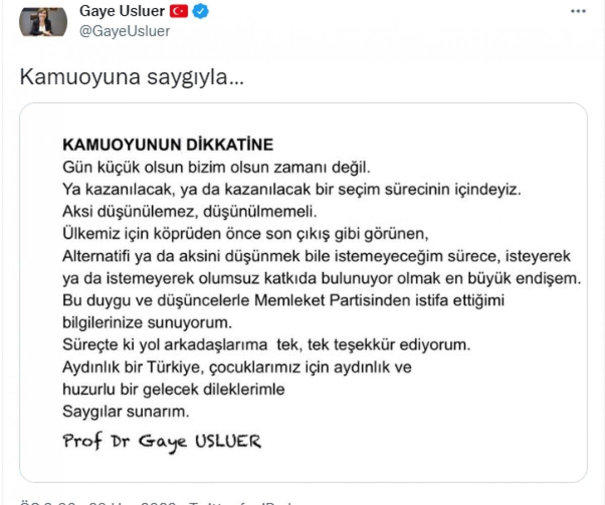 Gaye Usluer, Memleket Partisi'nden istifa etti