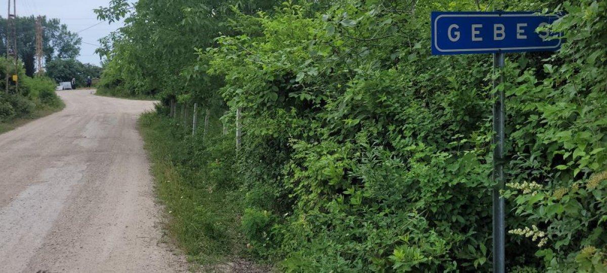 Kastamonu'da ayılar gündüz vakti yerleşim yerlerine inmeye başladı