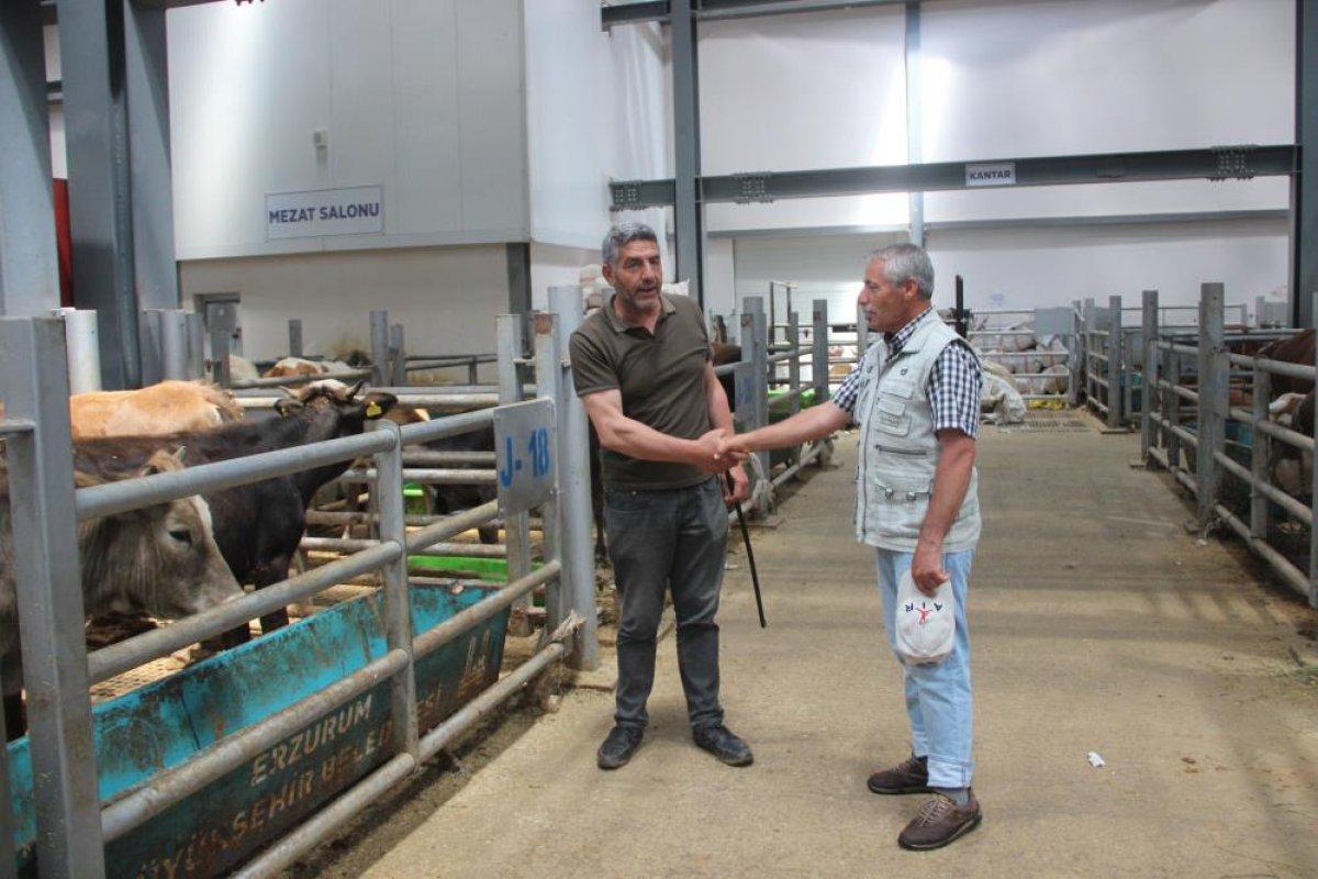 Kurban pazarlarında hareketlilik başladı