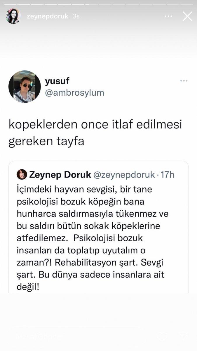 Şarkıcı Zeynep Doruk’a sokak köpeği saldırdı