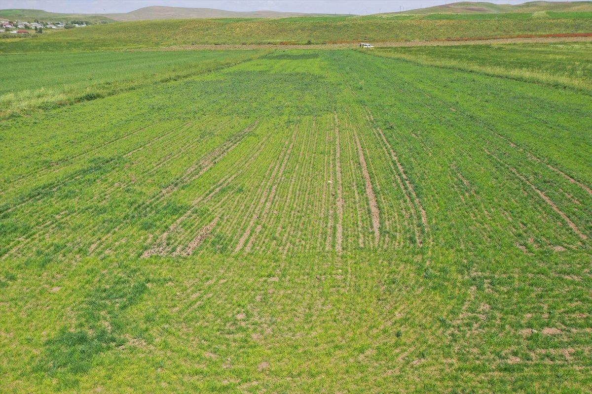 Artvinli Taner öğretmen, Ağrı'da ekilmeyen iki araziyi tarıma kazandırdı